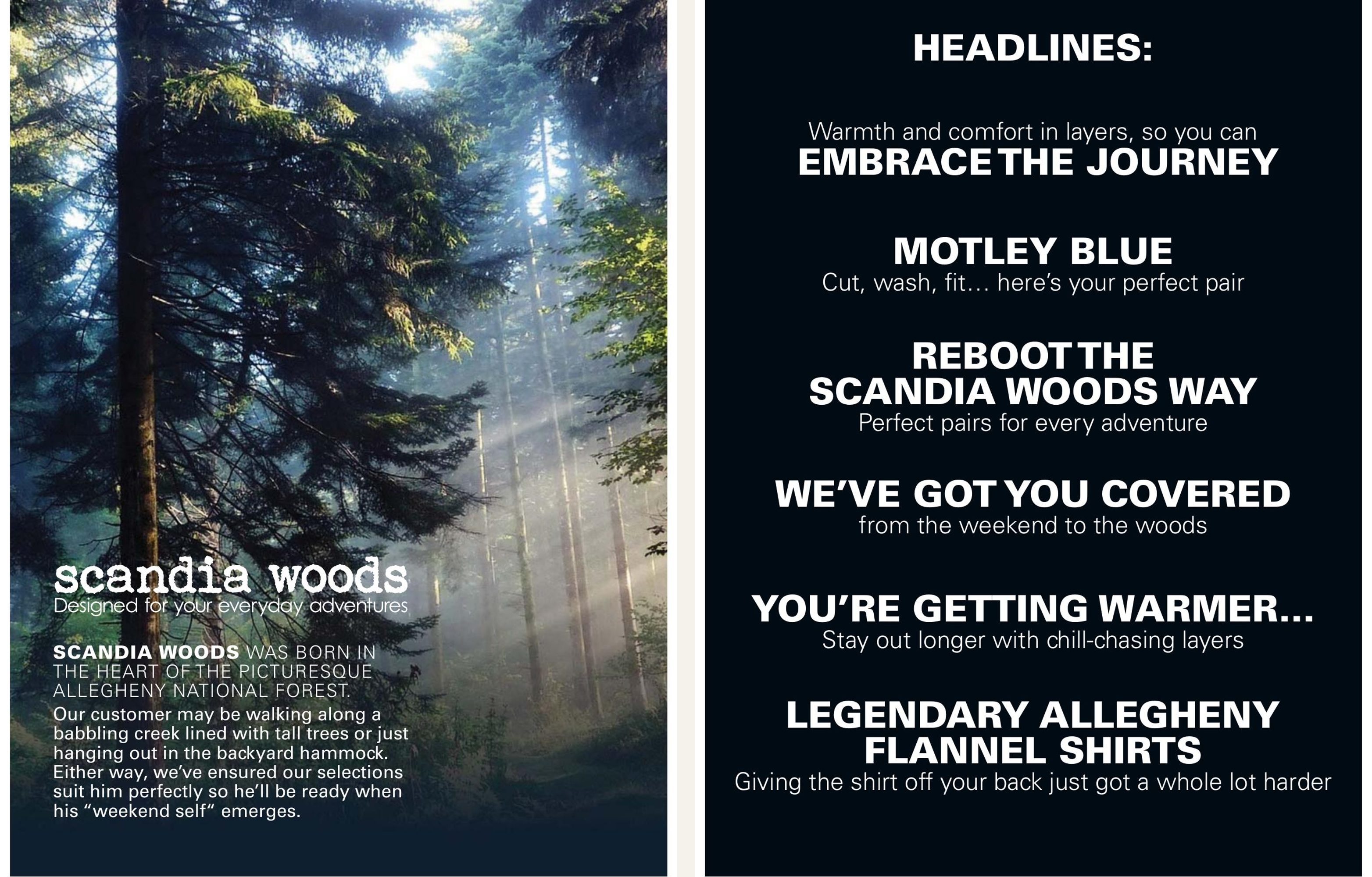 Two Scandia Woods brand-board pages: the Allegheny National Forest brand story and a bank of six headline treatments.
