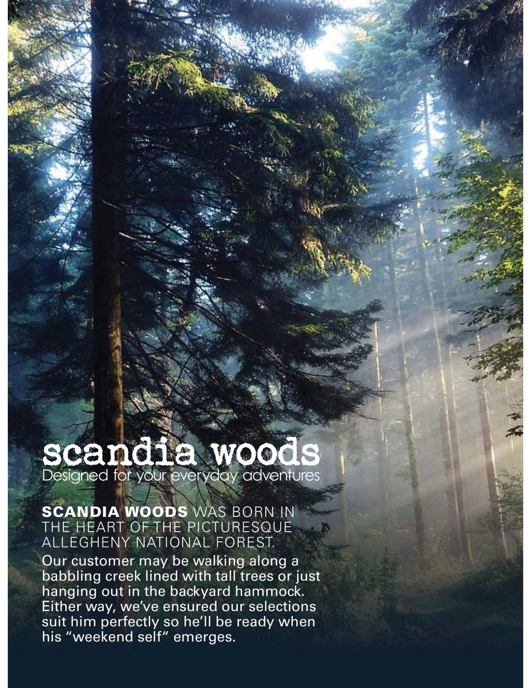 Scandia Woods brand boards showing lifestyle photography, colour direction and headline treatments.